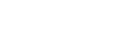 Logo Sistema Pallas