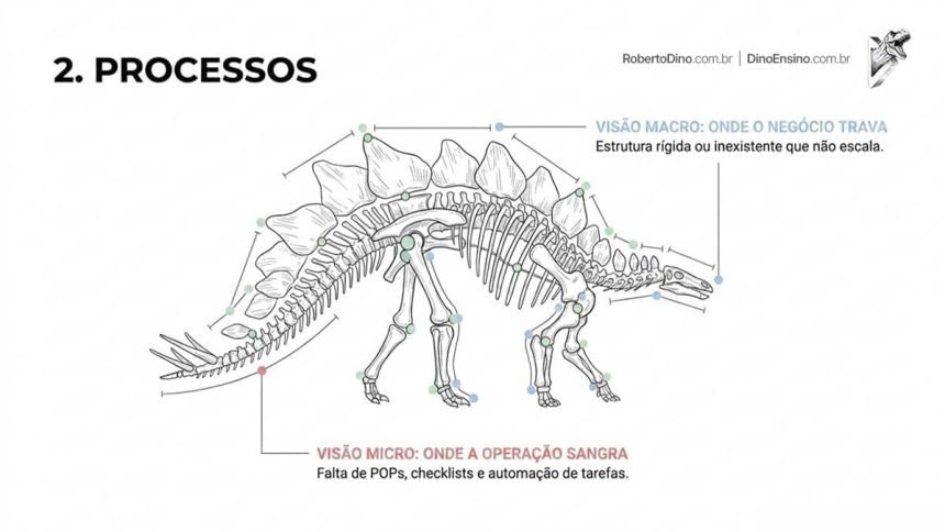 Estabelecer processos mantém a empresa nos trilhos. Quando todos sabem o que fazer e como fazer, flui com sinergia.